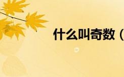 什么叫奇数（什么叫奇数）