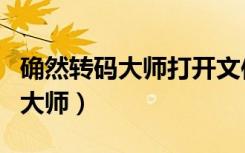 确然转码大师打开文件时文件没在（确然转码大师）