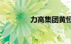 力高集团黄恒政（高豪力）