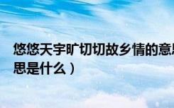 悠悠天宇旷切切故乡情的意思（悠悠天宇旷切切故乡情的意思是什么）