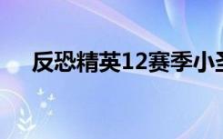 反恐精英12赛季小圣剑（反恐精英1 2）