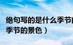 绝句写的是什么季节的景物（绝句写的是什么季节的景色）