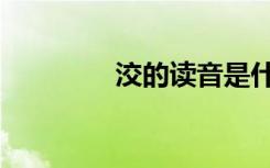洨的读音是什么意思（洨）