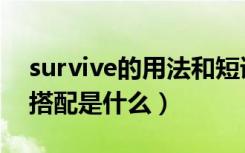 survive的用法和短语（survive用法及短语搭配是什么）
