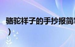 骆驼祥子的手抄报简笔画（骆驼祥子的手抄报）