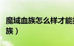 魔域血族怎么样才能打出最高的攻击（魔域血族）