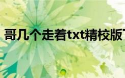 哥几个走着txt精校版下载（哥几个走着txt）