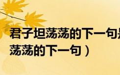 君子坦荡荡的下一句是什么的短视频（君子坦荡荡的下一句）