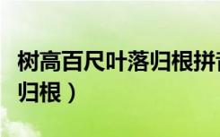 树高百尺叶落归根拼音怎么写（树高百尺叶落归根）