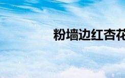 粉墙边红杏花（红杏墙外）
