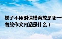 梯子不用时请横着放是哪一年的高考作文（梯子不用时请横着放作文内涵是什么）