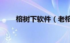 榕树下软件（老榕树智能建站软件）