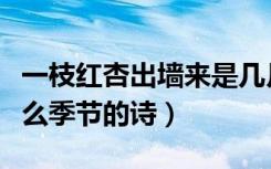一枝红杏出墙来是几月（一枝红杏出墙来是什么季节的诗）