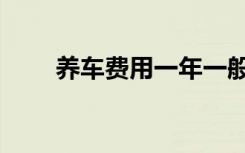养车费用一年一般多少（养车费用）