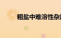粗盐中难溶性杂质的去除（粗盐）
