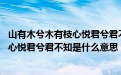 山有木兮木有枝心悦君兮君不知什么意思（山有木兮木有枝 心悦君兮君不知是什么意思）
