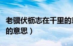 老骥伏枥志在千里的意思（老骥伏枥志在千里的意思）