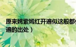 原来姹紫嫣红开遍似这般都付与断井颓垣（原来姹紫嫣红开遍的出处）