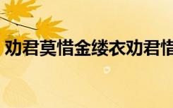 劝君莫惜金缕衣劝君惜取少年时（劝君莫惜）