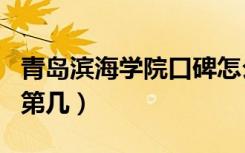 青岛滨海学院口碑怎么样好就业吗（全国排名第几）