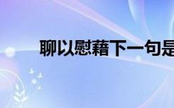 聊以慰藉下一句是什么（聊以慰藉）