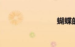 蝴蝶的野花