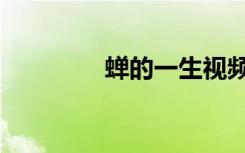蝉的一生视频（蝉的诗意）