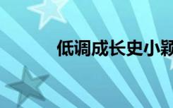 低调成长史小颖（低调成长史）