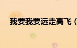 我要我要远走高飞（我要带你远走高飞）