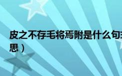 皮之不存毛将焉附是什么句式（皮之不存毛将焉附是什么意思）