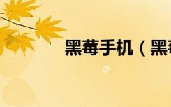 黑莓手机（黑莓surfboard）