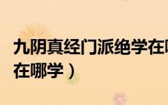 九阴真经门派绝学在哪里学（九阴真经归元阵在哪学）