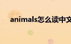 animals怎么读中文（animals怎么读）