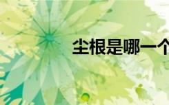 尘根是哪一个器官（尘根）