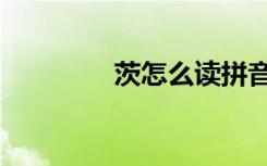 茨怎么读拼音（茨怎么读）