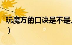 玩魔方的口诀是不是上左下右（玩魔方的口诀）