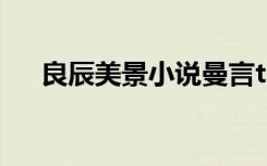 良辰美景小说曼言txt（良辰美景曼言）