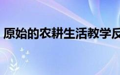 原始的农耕生活教学反思（原始的农耕生活）