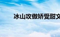 冰山攻傲娇受甜文（冰山攻傲娇受）