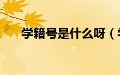 学籍号是什么呀（学籍号是什么意思）