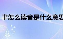 聿怎么读音是什么意思是什么（聿怎么读音）