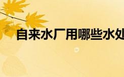 自来水厂用哪些水处理药剂（自来水厂）