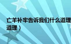 亡羊补牢告诉我们什么道理8个字（亡羊补牢告诉我们什么道理）