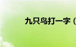 九只鸟打一字（九只鸟打一字）