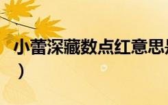 小蕾深藏数点红意思是什么（小蕾深藏数点红）