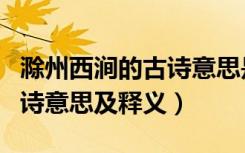 滁州西涧的古诗意思是是什么（滁州西涧的古诗意思及释义）