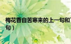 梅花香自苦寒来的上一句和下一句（梅花香自苦寒来的上一句）