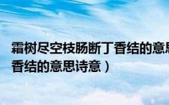 霜树尽空枝肠断丁香结的意思诗意20字（霜树尽空枝肠断丁香结的意思诗意）
