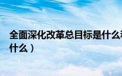 全面深化改革总目标是什么和什么（全面深化改革总目标是什么）
