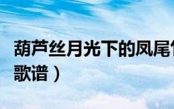 葫芦丝月光下的凤尾竹曲谱（月光下的凤尾竹歌谱）